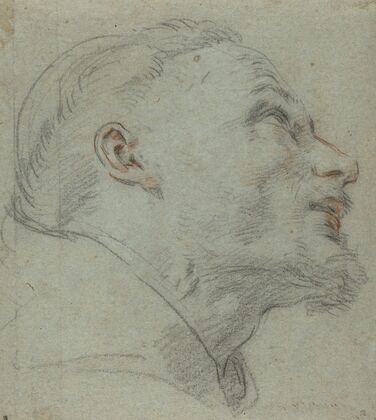 Head of Saint Francis