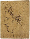 Head of the Apollo Belvedere, seen in profile