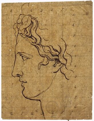 Head of the Apollo Belvedere, seen in profile