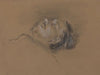Head of the Fallen Jockey (study for ‘Scene from the Steeplechase – The Fallen Jockey’)