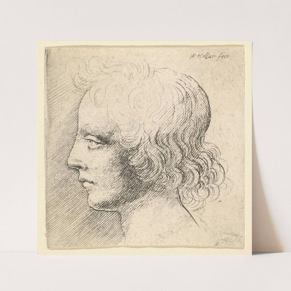 Head of Young Man (1644–52) by Wenceslaus Hollar