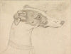 Head Portrait of Grayhound