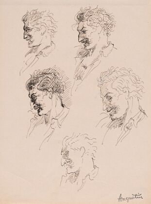 Head Studies