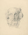 Head study