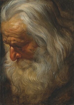 Head study of a bearded old man