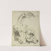 Heads and necks of two bovines; portion of neck of a third by Peter Paul Rubens