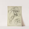 Heads and necks of two bulls in profile by Peter Paul Rubens