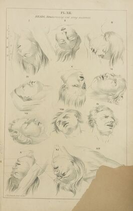 Heads – foreshortening and strong excitements