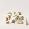Heads of domestic and wild animals and full figure of a dog, pig, horse, cows and a cock; a working farmer (1817-1818) by Henry Thomas Alken
