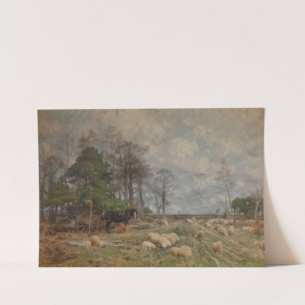 Heathland in Spring by Florent Crabeels