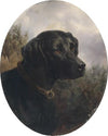 Hector (1871)