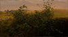 Hedge with blackberry