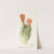 Hedgehog Cactus by Margaret Armstrong