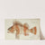 Helicolenus percoides (NZ) : Perch (1867) by Frank Edward Clarke