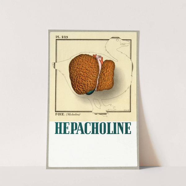 Hepacholine (1910-1950) by Laboratoires Robert &amp; Carrière