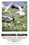 Hépatogènes Charvoz (1910-1950)