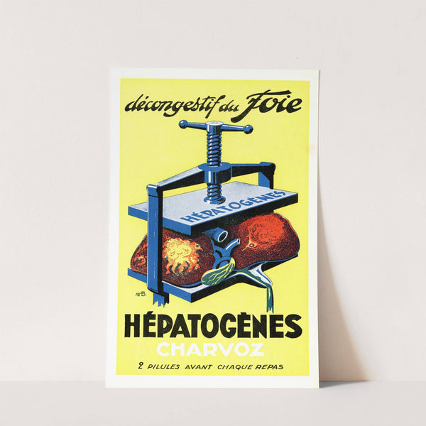 Hépatogènes Charvoz (1910-1950) by A. Bazin