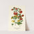 Herbaceous Calceolaria (1896-1897) by Edward Step