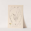 Herbier de la flore française Pl.0013 by Louis Antoine Cusin