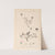 Herbier de la flore française Pl.0031 by Louis Antoine Cusin