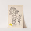 Herbier de la flore française Pl.0098 by Louis Antoine Cusin