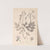 Herbier de la flore française Pl.0139 by Louis Antoine Cusin