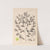 Herbier de la flore française Pl.0145 by Louis Antoine Cusin