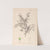 Herbier de la flore française Pl.0148 by Louis Antoine Cusin
