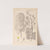 Herbier de la flore française Pl.0161 by Louis Antoine Cusin