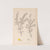 Herbier de la flore française Pl.0165 by Louis Antoine Cusin