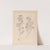 Herbier de la flore française Pl.0245 by Louis Antoine Cusin