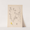 Herbier de la flore française Pl.0289 by Louis Antoine Cusin