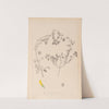 Herbier de la flore française Pl.0292 by Louis Antoine Cusin