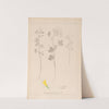 Herbier de la flore française Pl.0303 by Louis Antoine Cusin