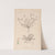 Herbier de la flore française Pl.0359 by Louis Antoine Cusin