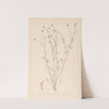 Herbier de la flore française Pl.0373 by Louis Antoine Cusin
