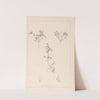 Herbier de la flore française Pl.0401 by Louis Antoine Cusin