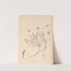 Herbier de la flore française Pl.0412 by Louis Antoine Cusin