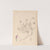 Herbier de la flore française Pl.0412 by Louis Antoine Cusin