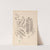 Herbier de la flore française Pl.0437 by Louis Antoine Cusin