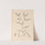 Herbier de la flore française Pl.0443 by Louis Antoine Cusin