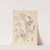Herbier de la flore française Pl.0469 by Louis Antoine Cusin
