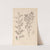Herbier de la flore française Pl.0490 by Louis Antoine Cusin
