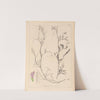 Herbier de la flore française Pl.0497 by Louis Antoine Cusin