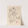 Herbier de la flore française Pl.0506 by Louis Antoine Cusin