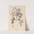 Herbier de la flore française Pl.0512 by Louis Antoine Cusin