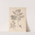 Herbier de la flore française Pl.0549 by Louis Antoine Cusin