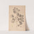 Herbier de la flore française Pl.0564 (1867-1876) by Louis Antoine Cusin