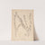 Herbier de la flore française Pl.0592 by Louis Antoine Cusin