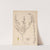 Herbier de la flore française Pl.0605 by Louis Antoine Cusin